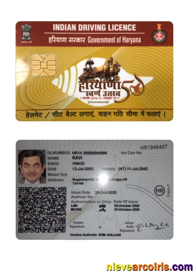 India Haryana state driving license